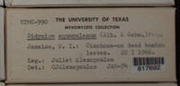 Image Associated With the Occurence